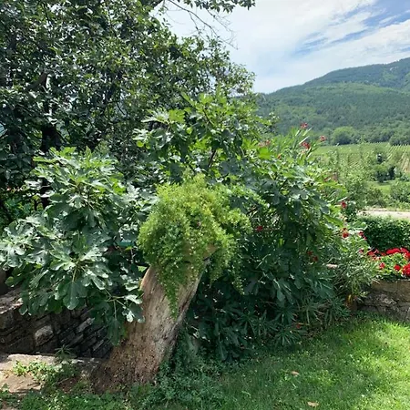 Apartmaji Klabjan - Kaki Apartmán