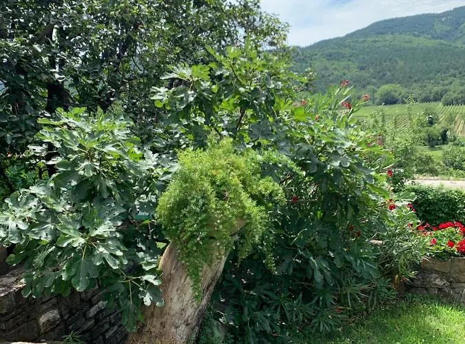 Apartmaji Klabjan - Kaki アパート